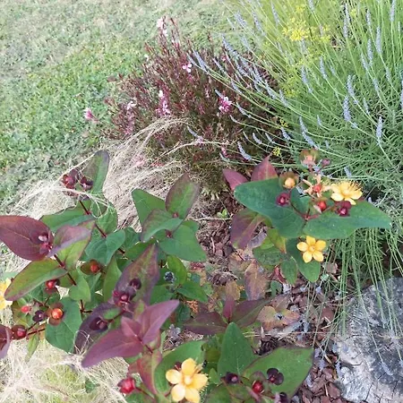 Charmant Studio 35m² Au Calme Proche Du Circuit *