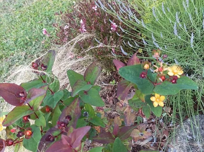 Charmant Studio 35m² Au Calme Proche Du Circuit *